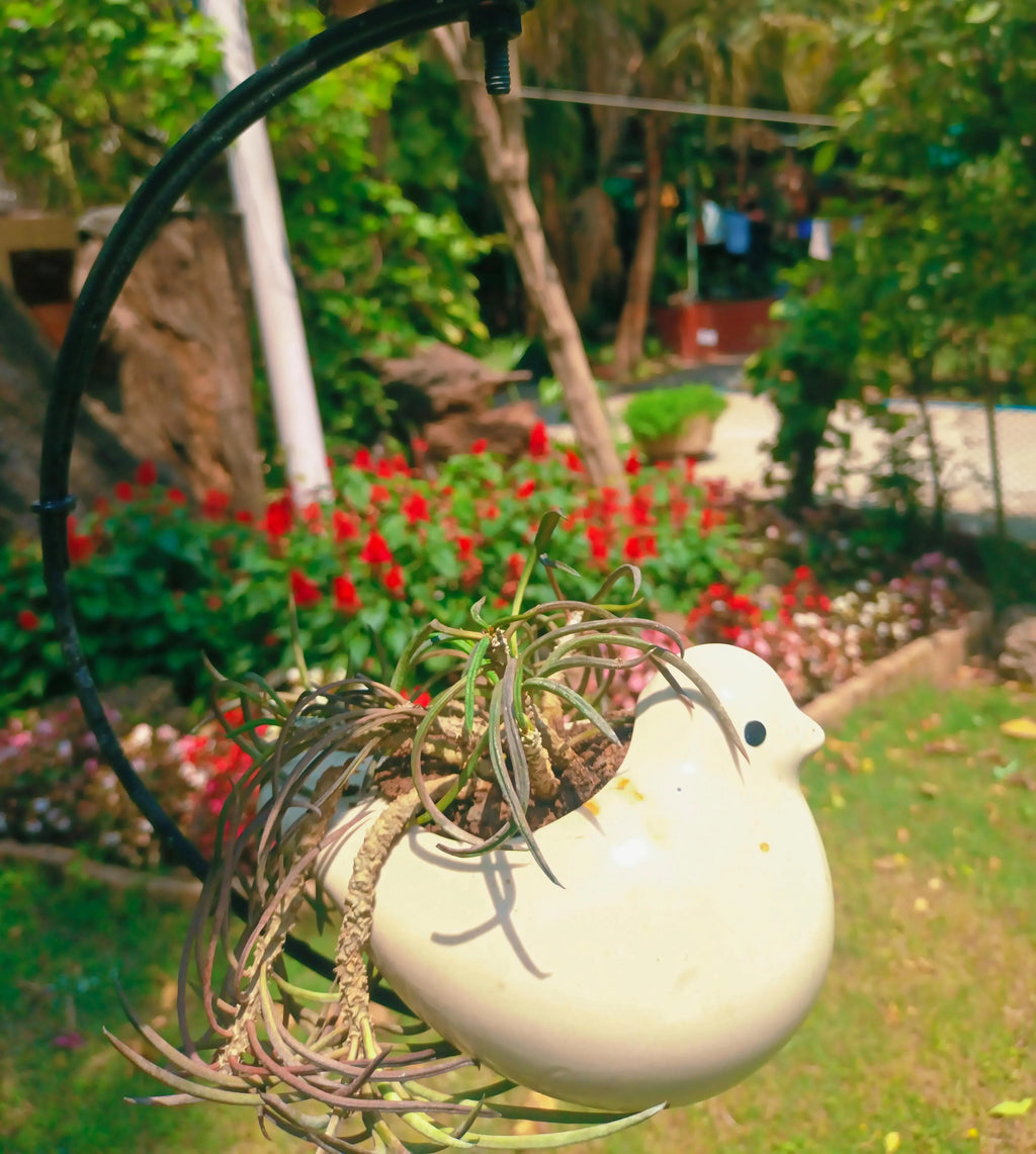 MOTI BIRD ON HALF MOON HANGING