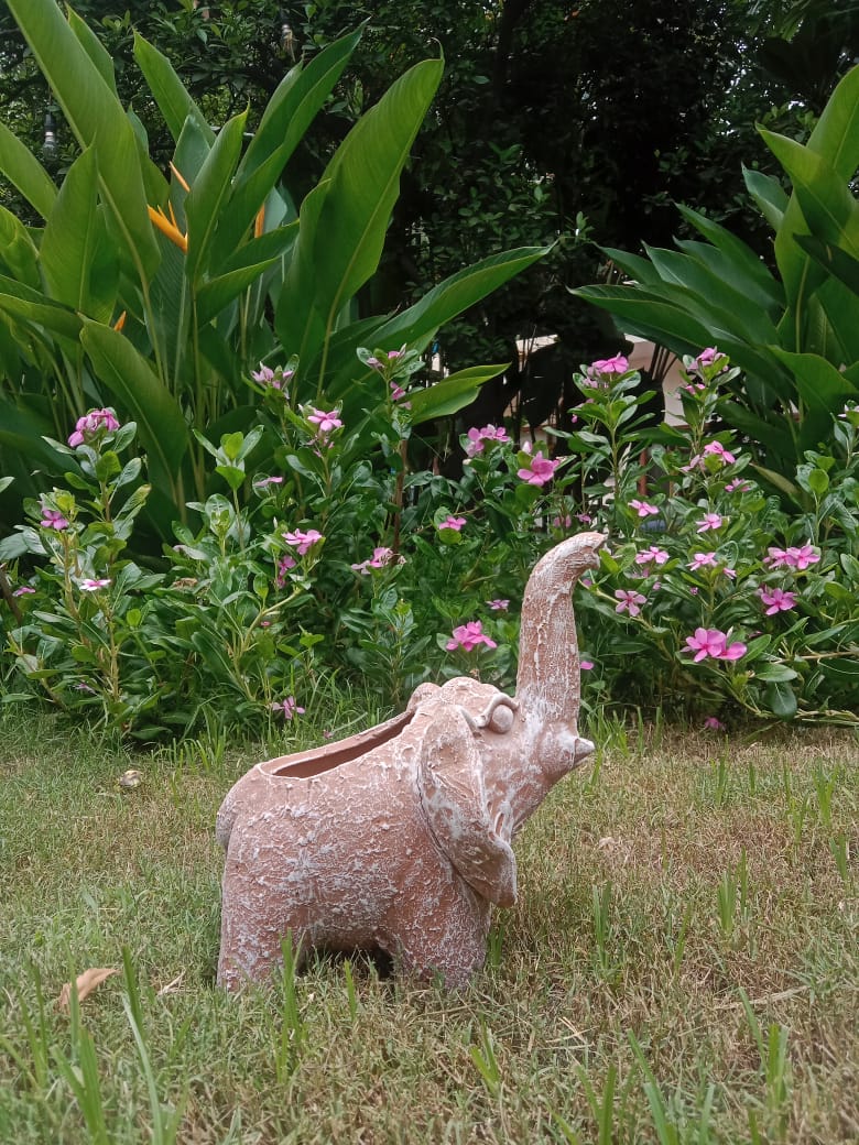 ELEPHANTS WITH TRUNK UP