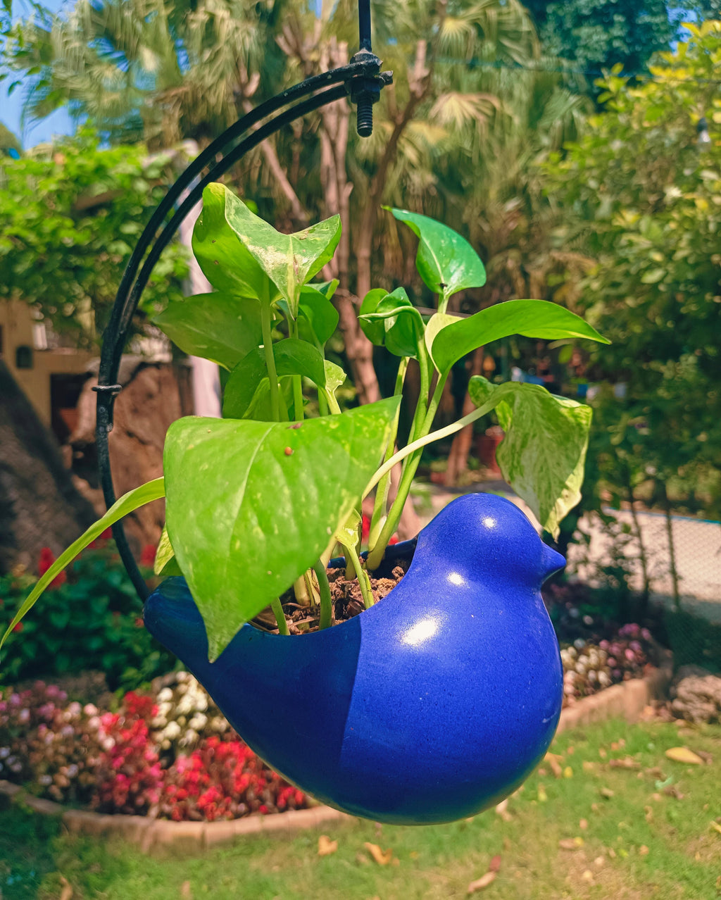 MOTI BIRD ON HALF MOON HANGING