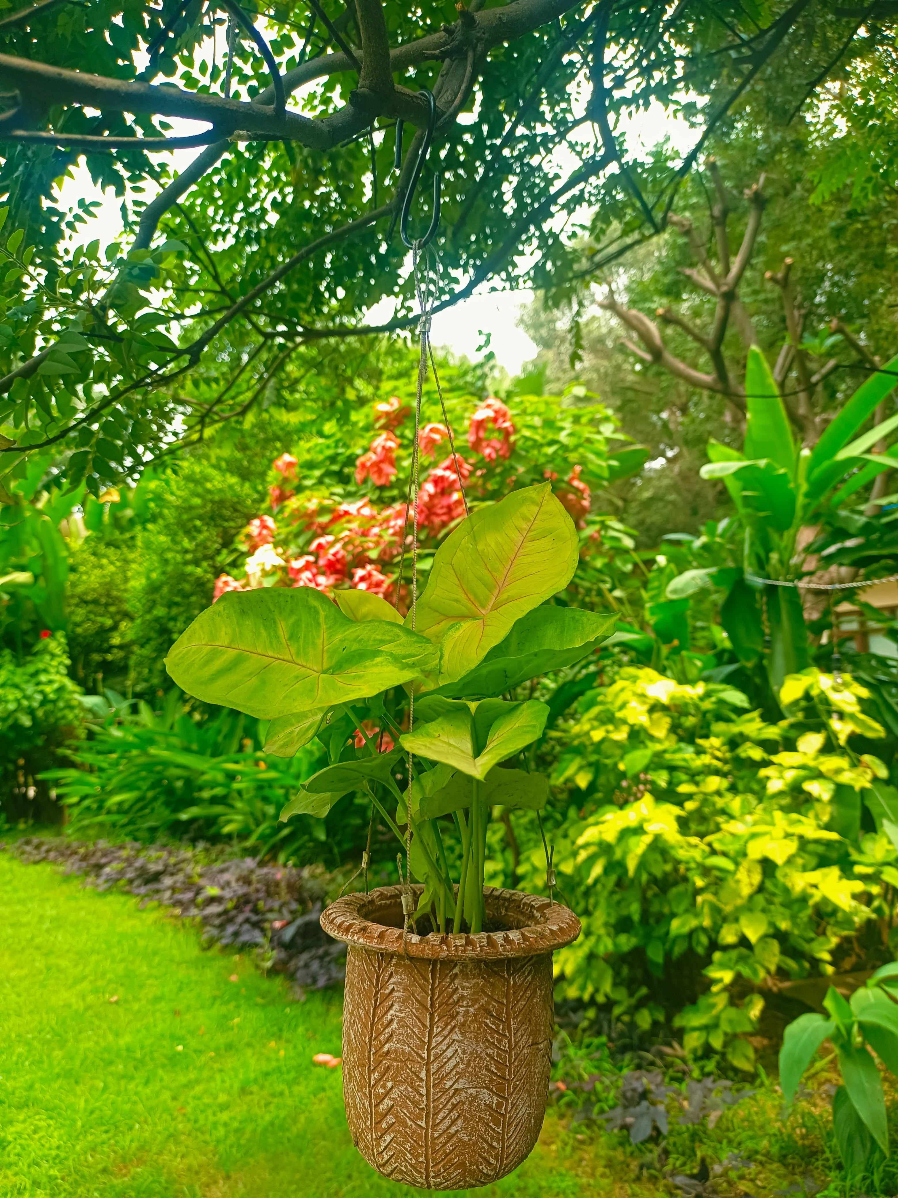 TERRACOTTA HANGING SMALL HAT  PLANTER POT HOME GARDEN BALCONY DECOR