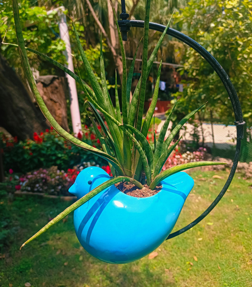 MOTI BIRD ON HALF MOON HANGING