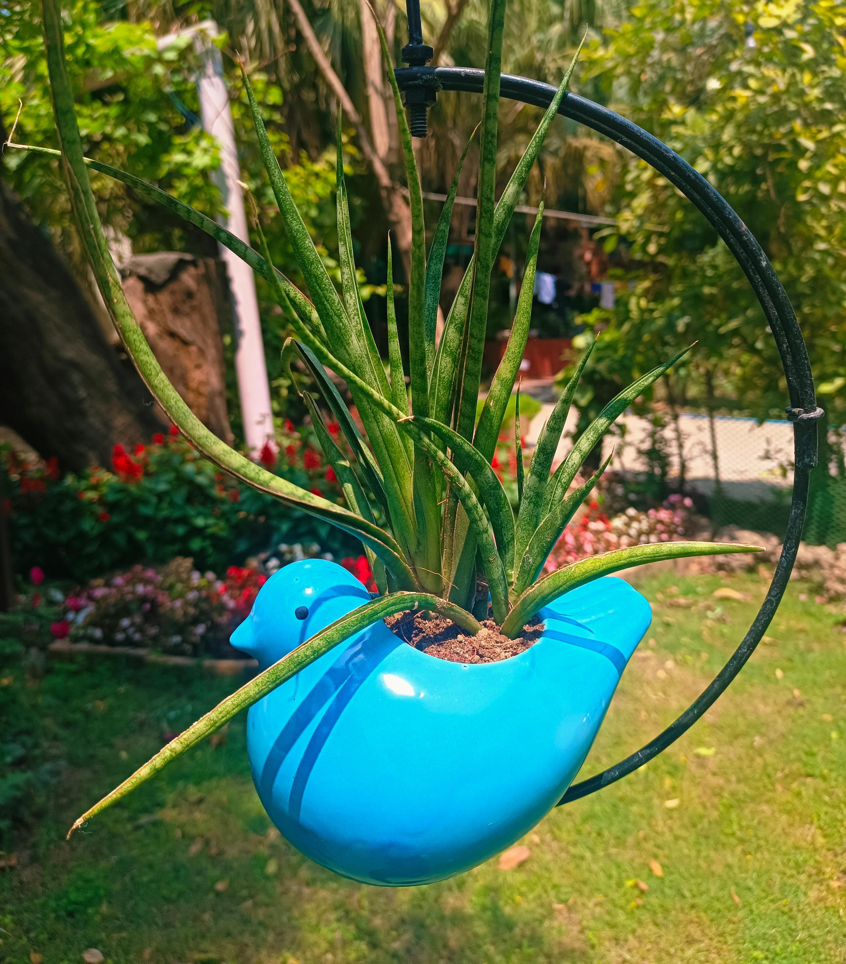 MOTI BIRD ON HALF MOON HANGING