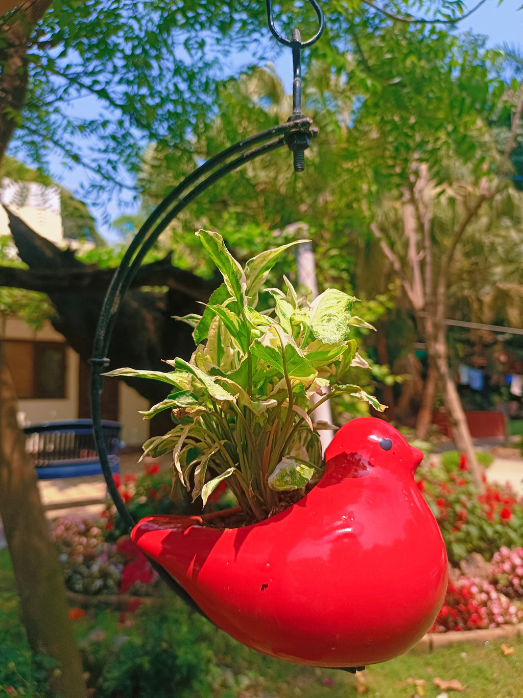 MOTI BIRD ON HALF MOON HANGING