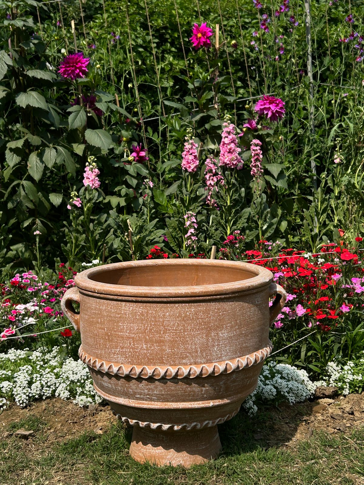 TERRACOTTA PLANTER POT WITH HANDLES