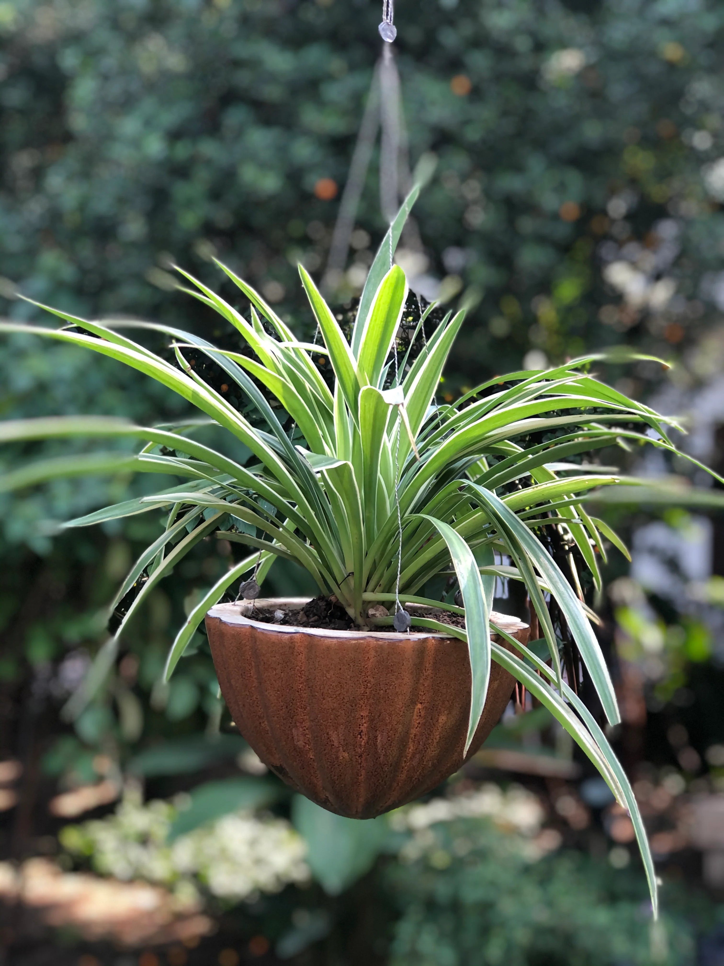 Pyramid shape Hanging Planter Flower Pot in Ceramic