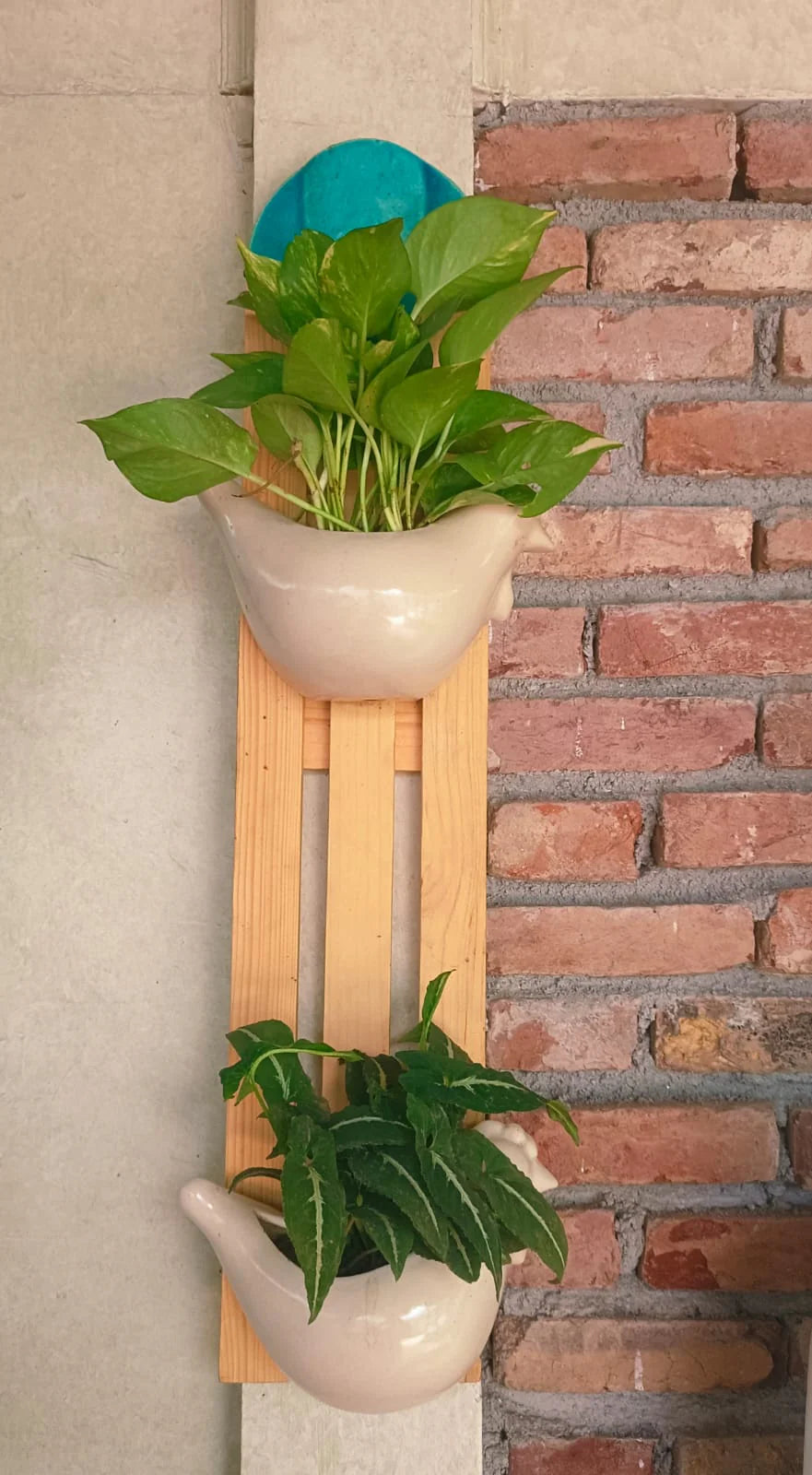 VERTICAL WALL SHELF WITH CERAMIC BIRD PLANTERS FOR HOME GARDEN AND BALCONY DECOR