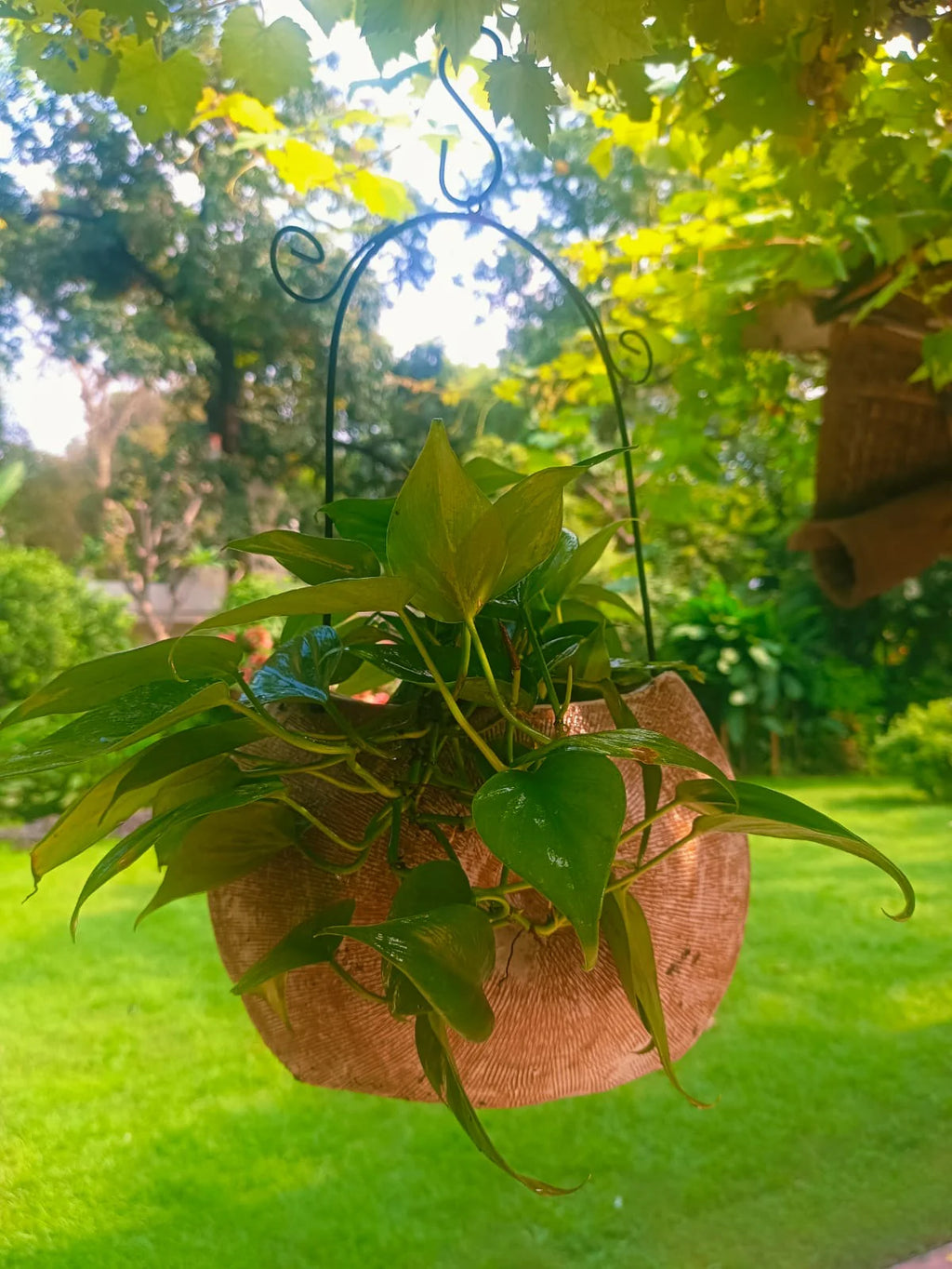 TERRACOTTA HANGING SHELL PLANTER POT HOME GARDEN BALCONY DECOR