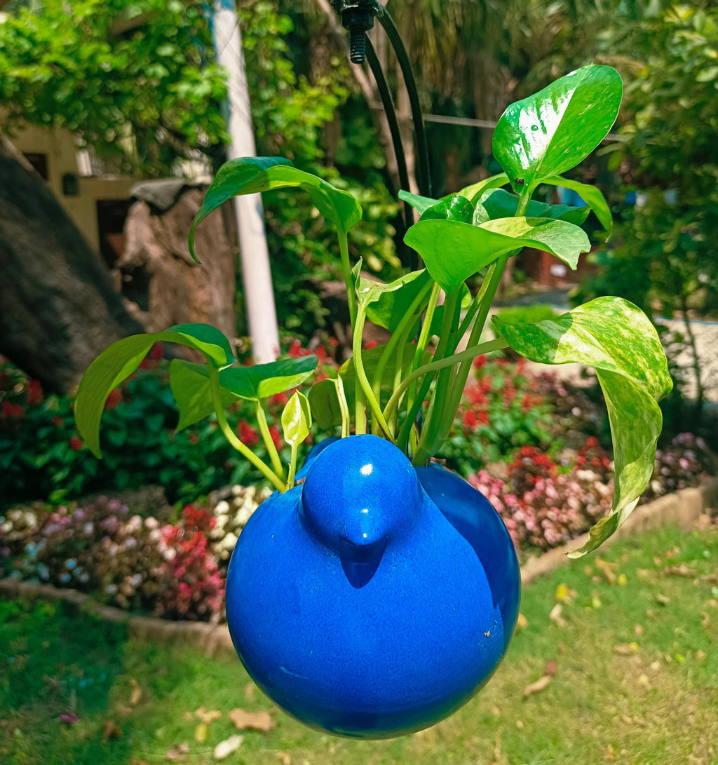 MOTI BIRD ON HALF MOON HANGING