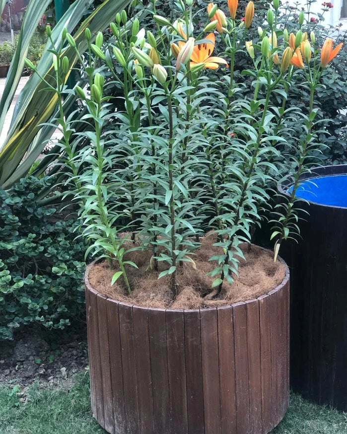 RECYCLED PLASTIC AND WOOD BARREL PLANTER