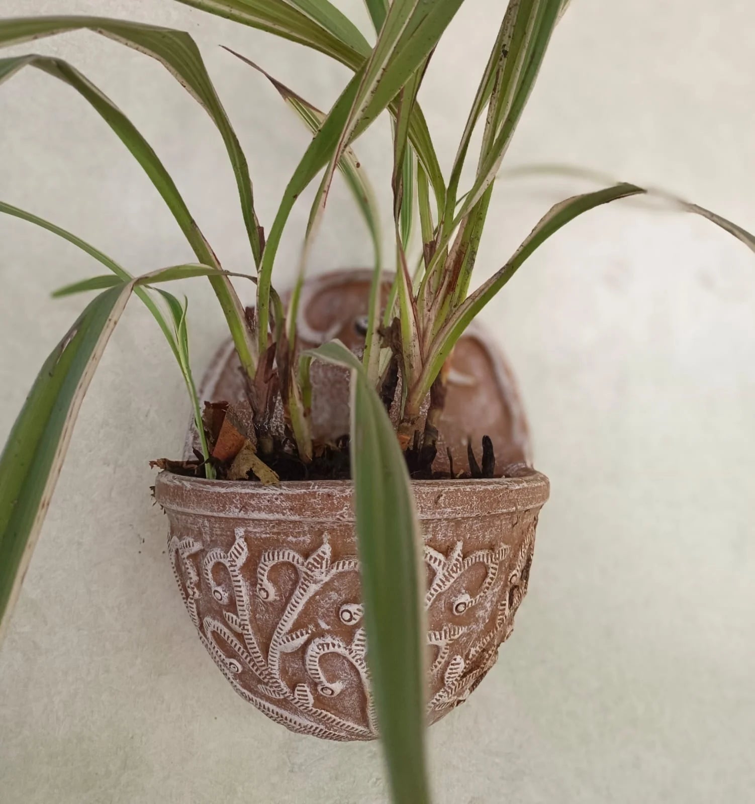 PHOOL PATTI WALL PLANTER FOR HOME  GARDEN BALCONY DECOR