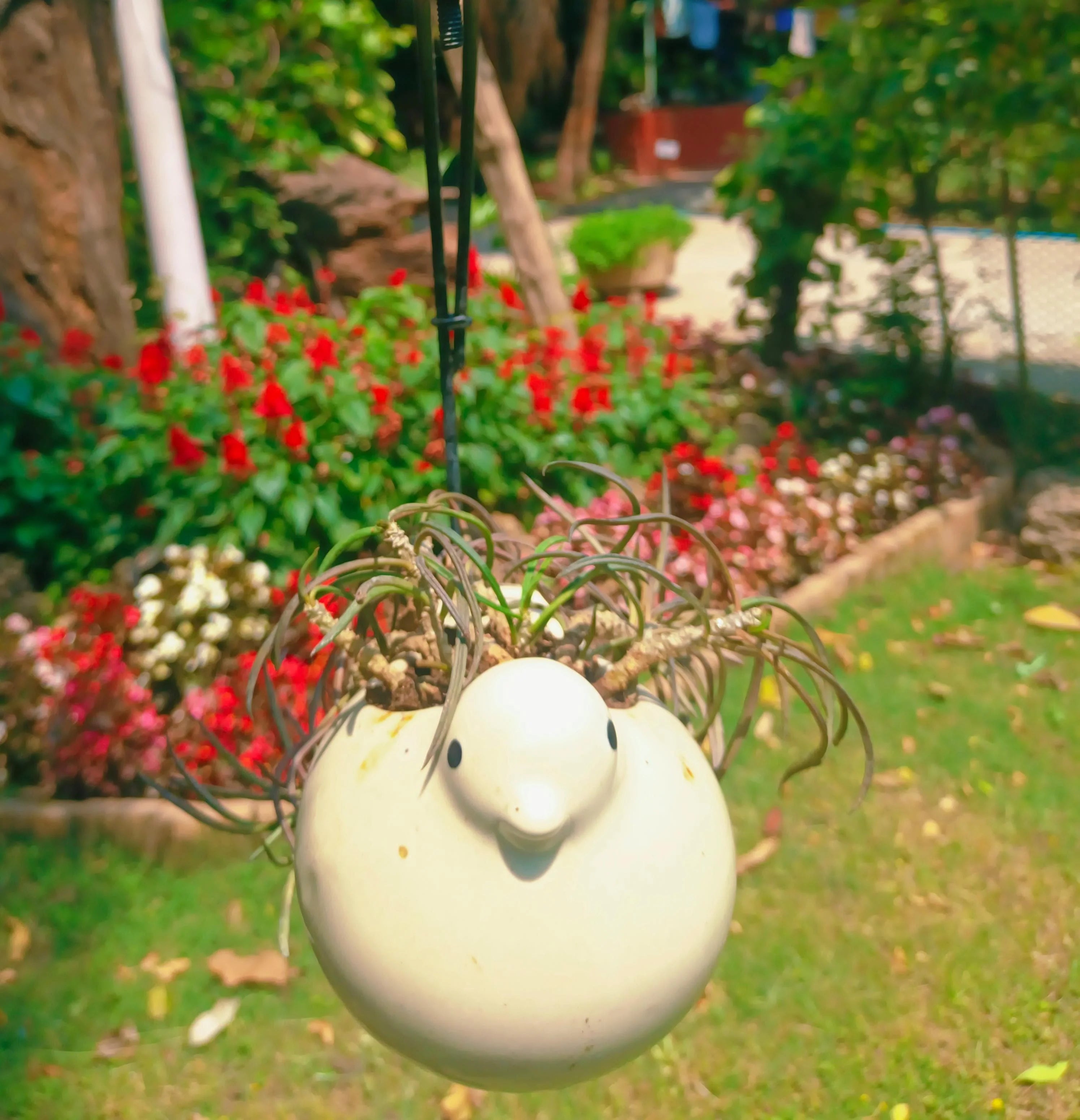 MOTI BIRD ON HALF MOON HANGING