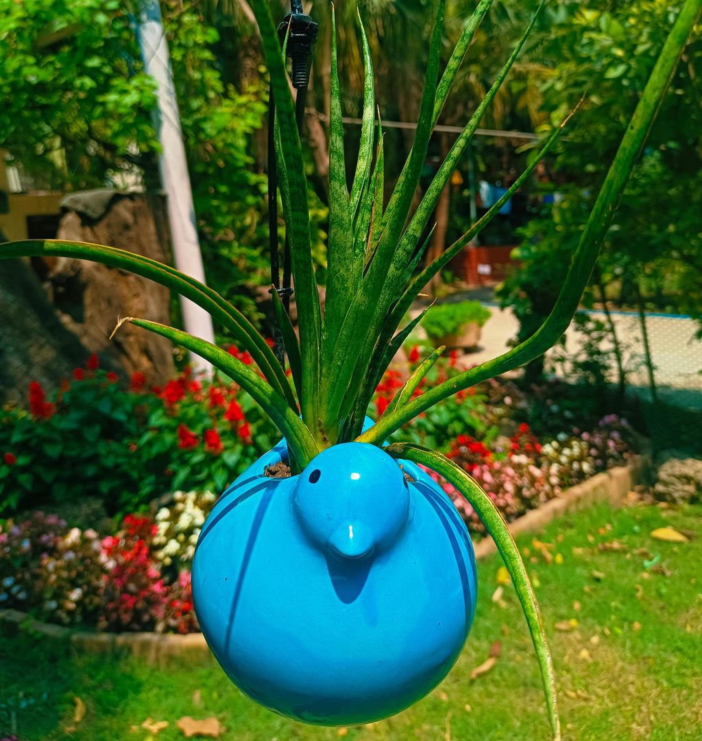 MOTI BIRD ON HALF MOON HANGING