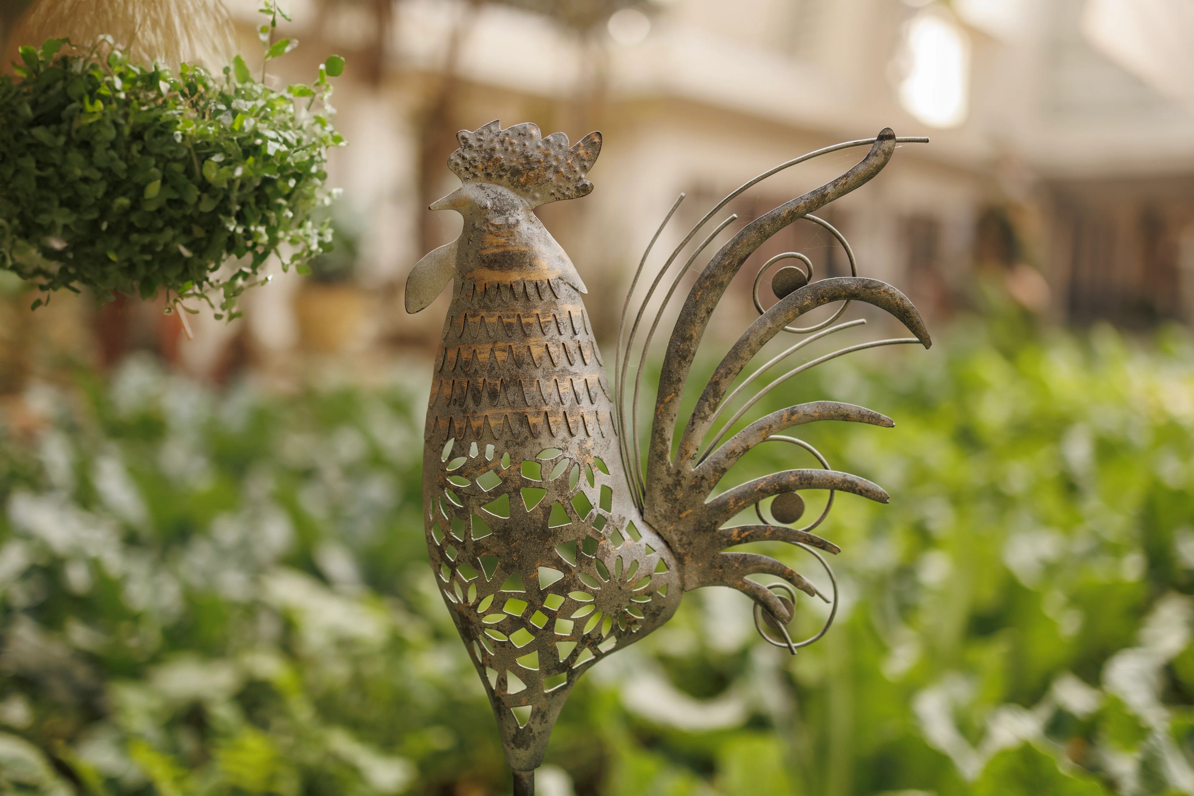 METAL HEN DIGGER FOR GARDEN DECOR