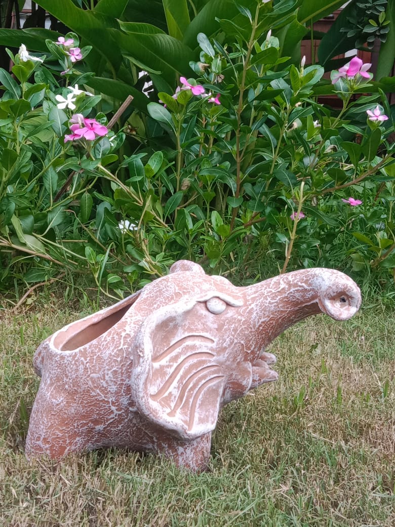 ELEPHANTS WITH TRUNK SIDE