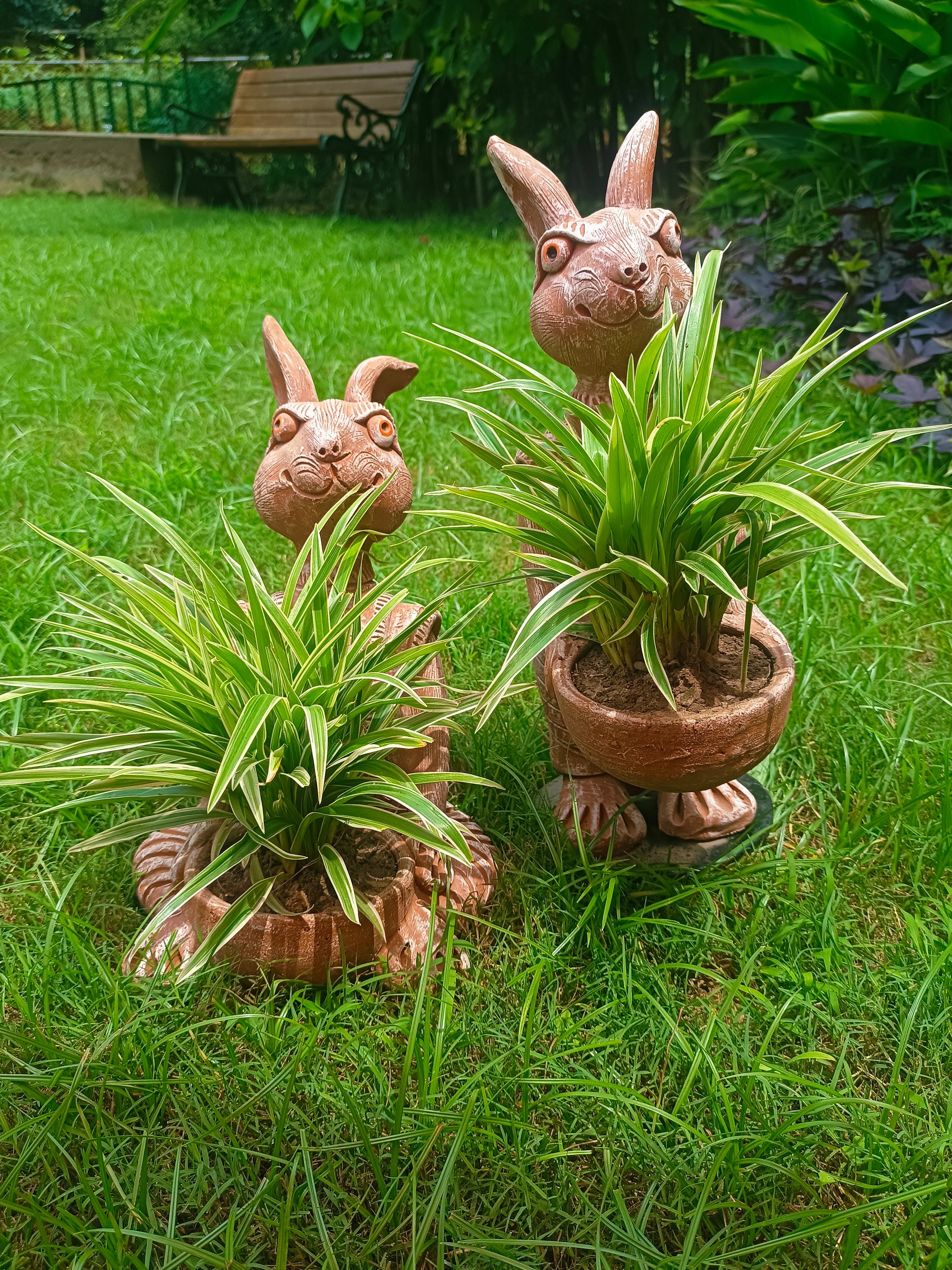 RABBIT WITH BOWL PLANTER FOR HOME GARDEN AND BALCONY
