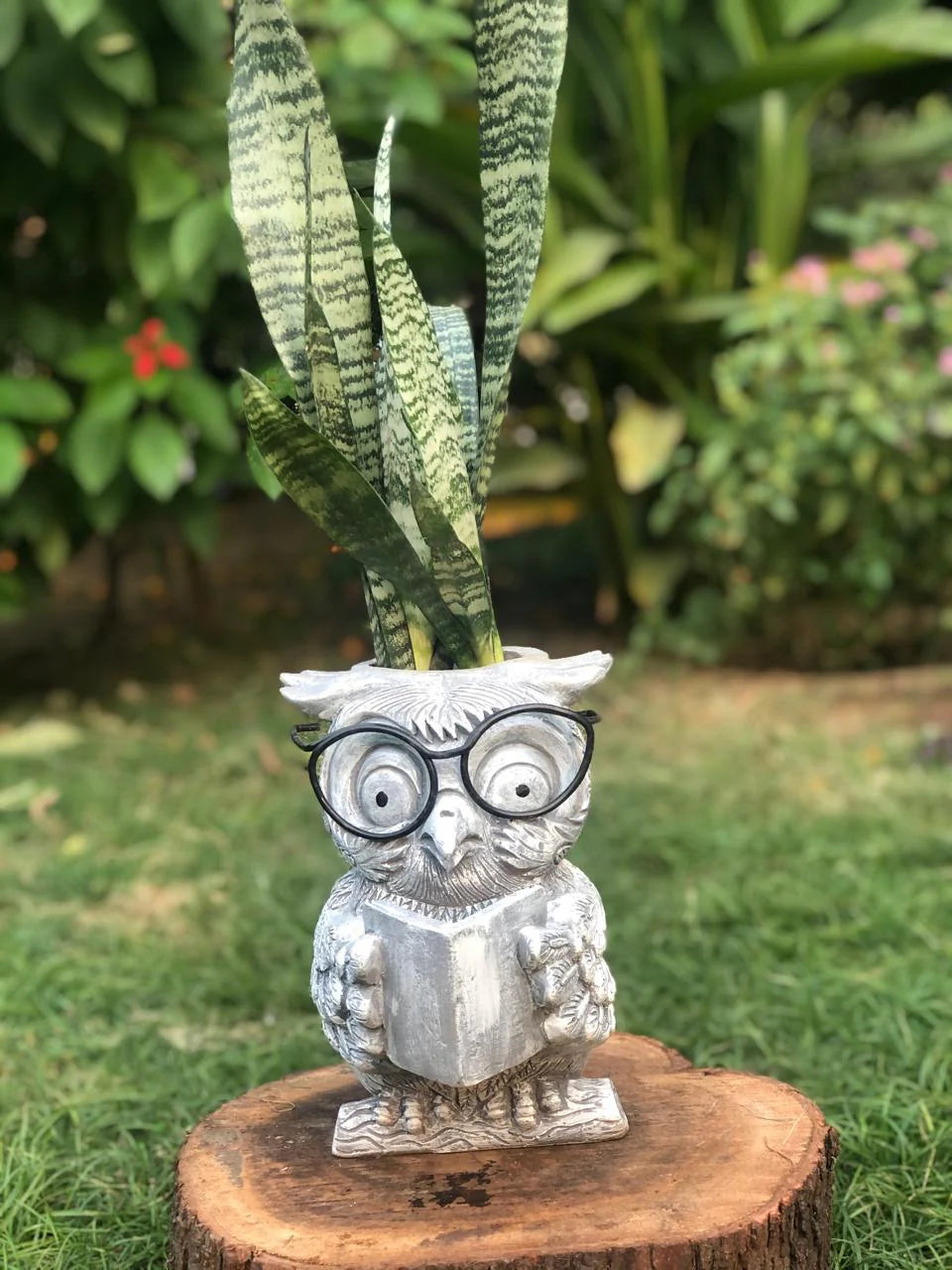 WISE OWL PLANTER POT FOR HOME GARDEN BALCONY DECOR