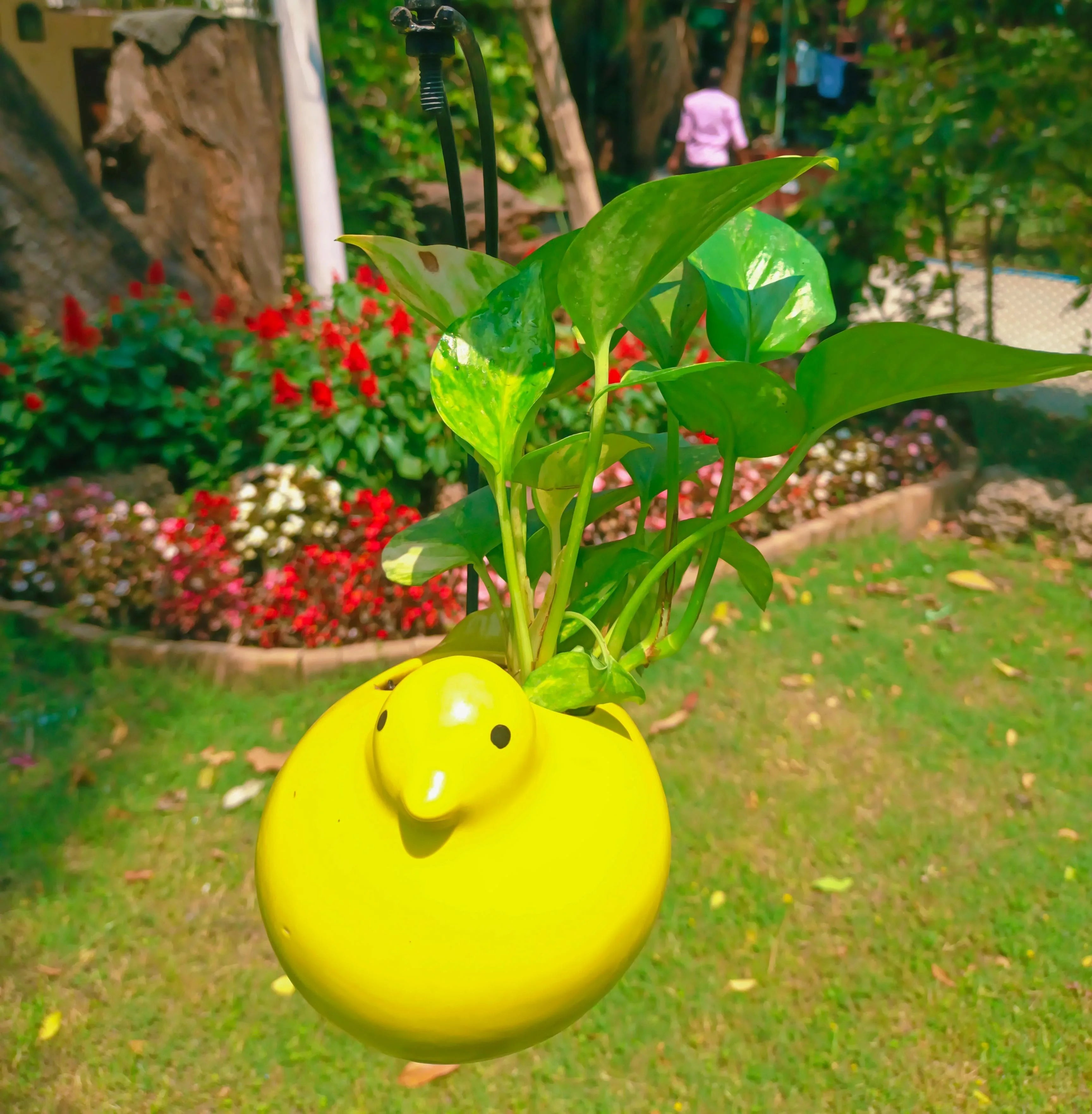 MOTI BIRD ON HALF MOON HANGING