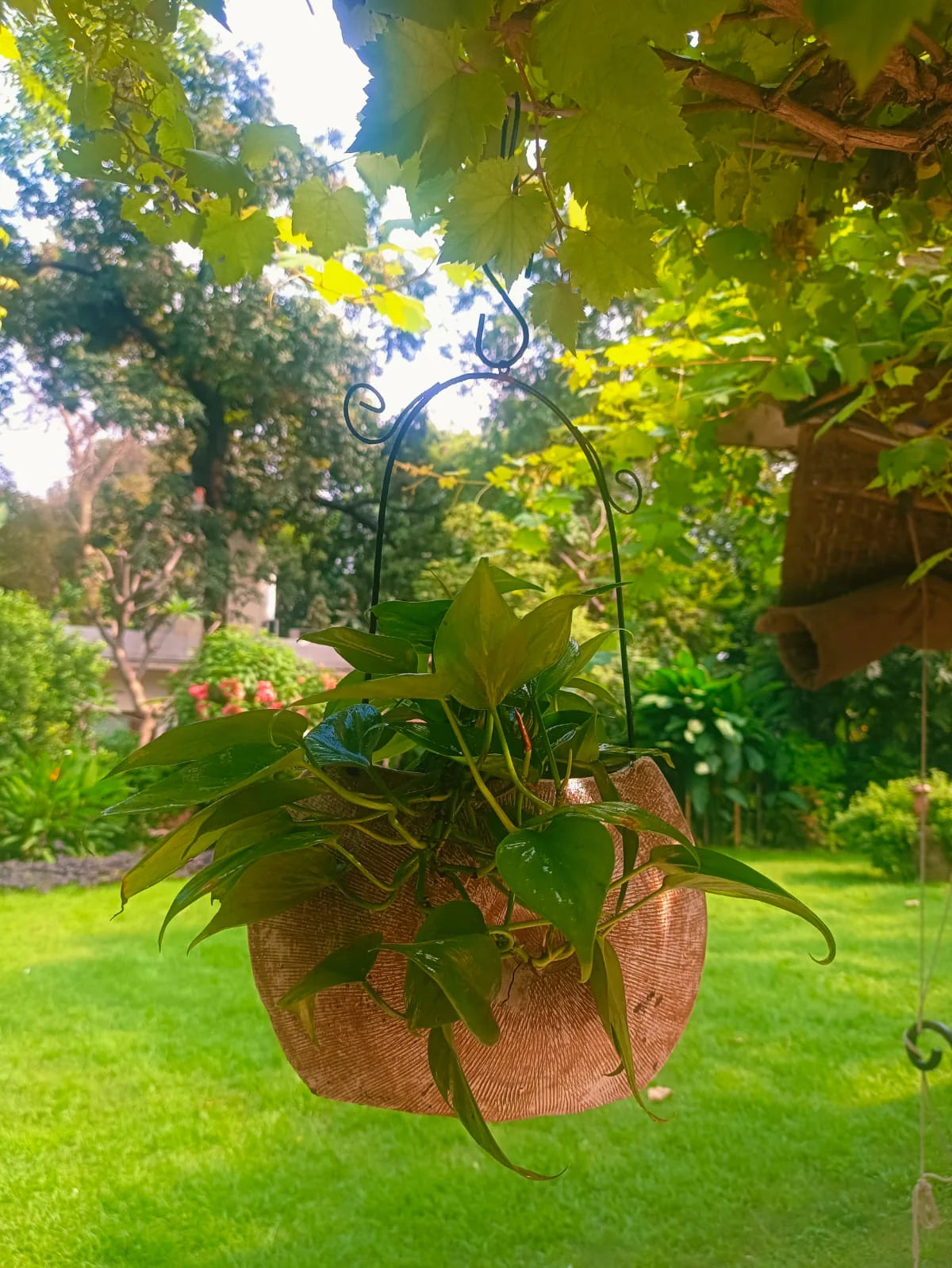 TERRACOTTA HANGING SHELL PLANTER POT HOME GARDEN BALCONY DECOR