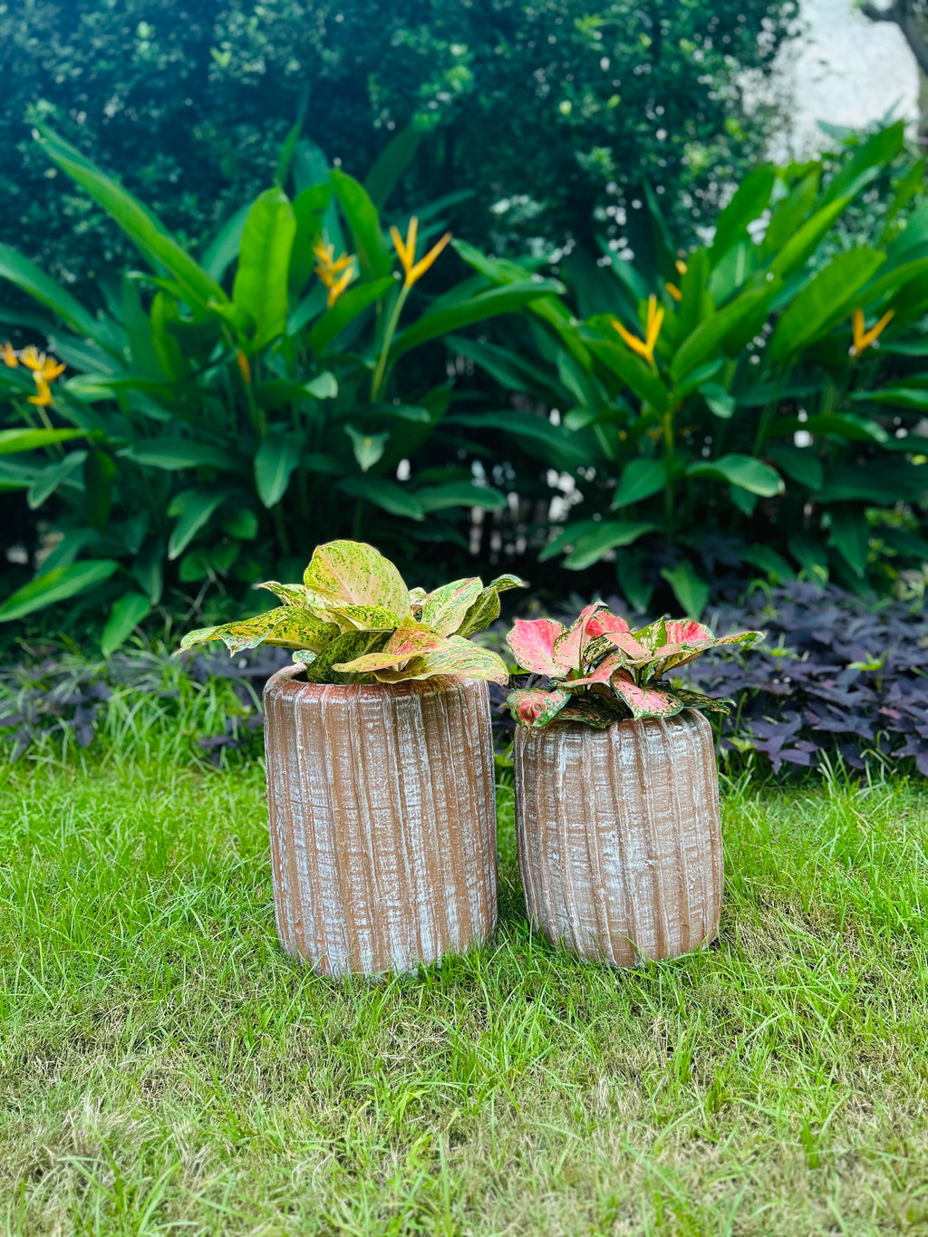 TERRACOTTA LINED CYLINDERS