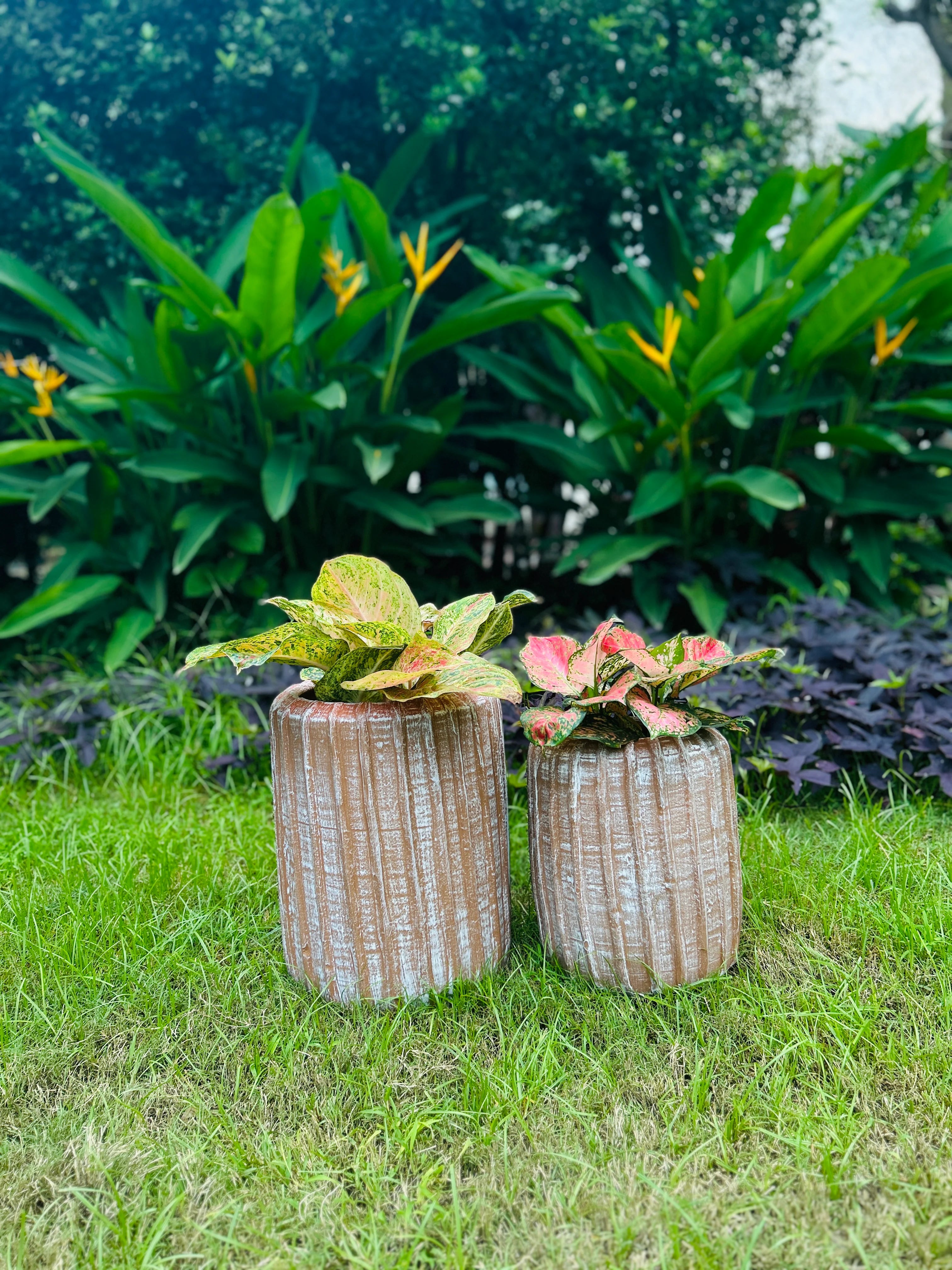 TERRACOTTA LINED CYLINDERS