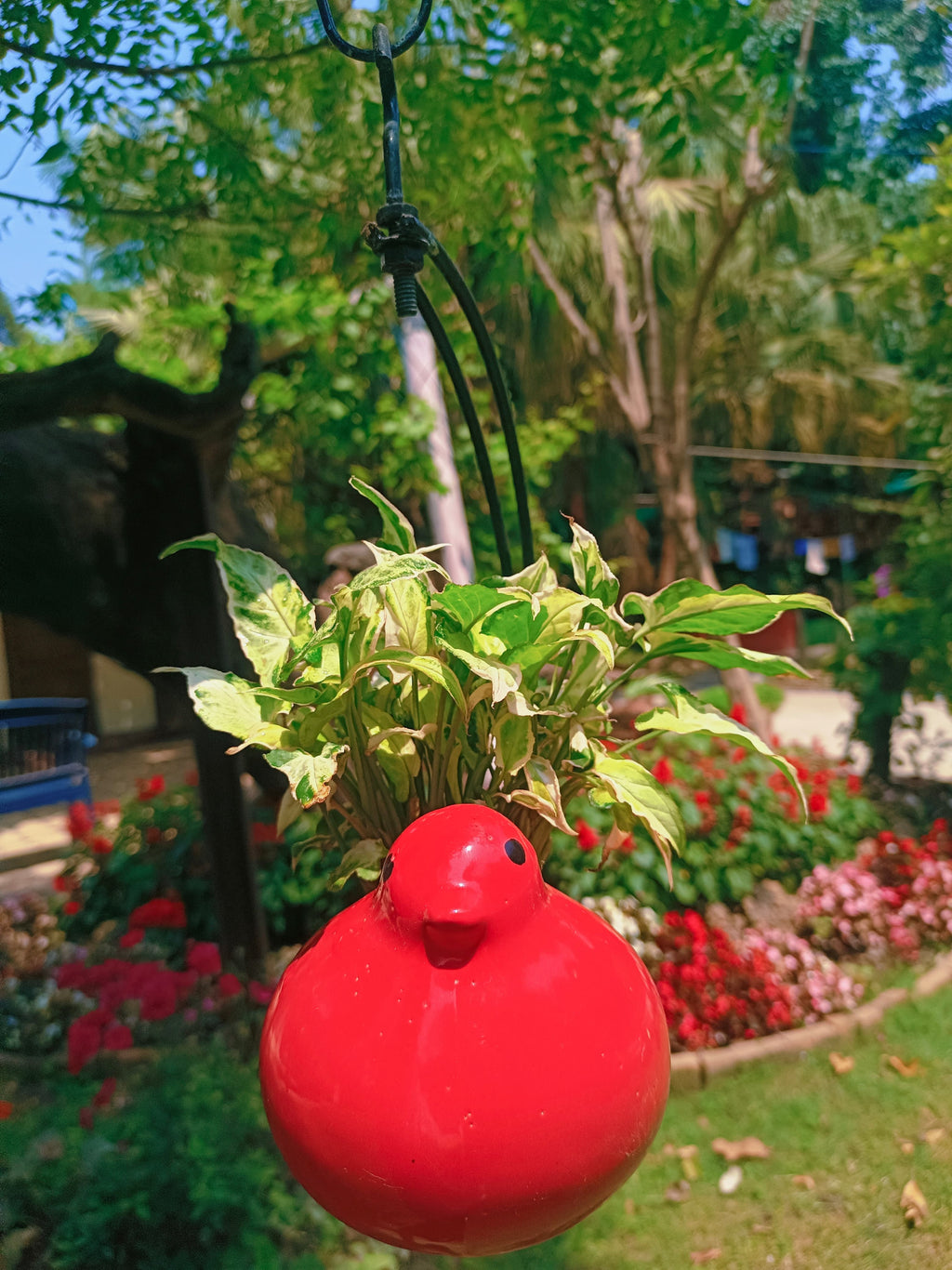 MOTI BIRD ON HALF MOON HANGING